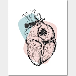 Anatomical Heart • Pastel Pink & Blue • Pastel Goth Posters and Art